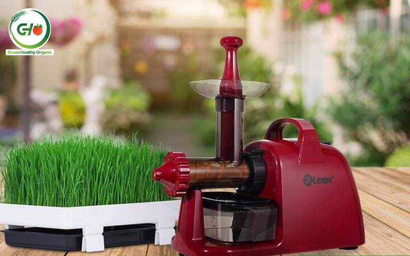 Mua máy ép chậm chính hãng ở đâu? Mua máy ép chậm chính hãng ở đâu?