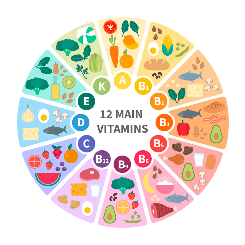 12 loại vitamin chính